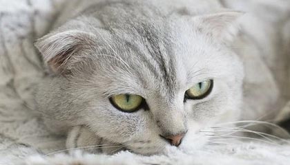 南矿集团:接受民生证券调研