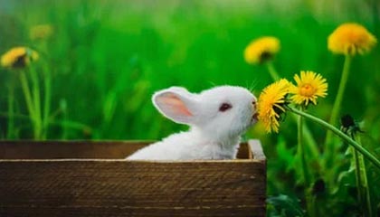 国泰基金的绿电ETF（159669）跌1.2%