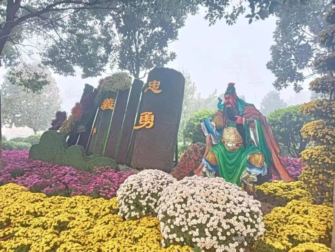 新野:那一抹菊香里的民生温度