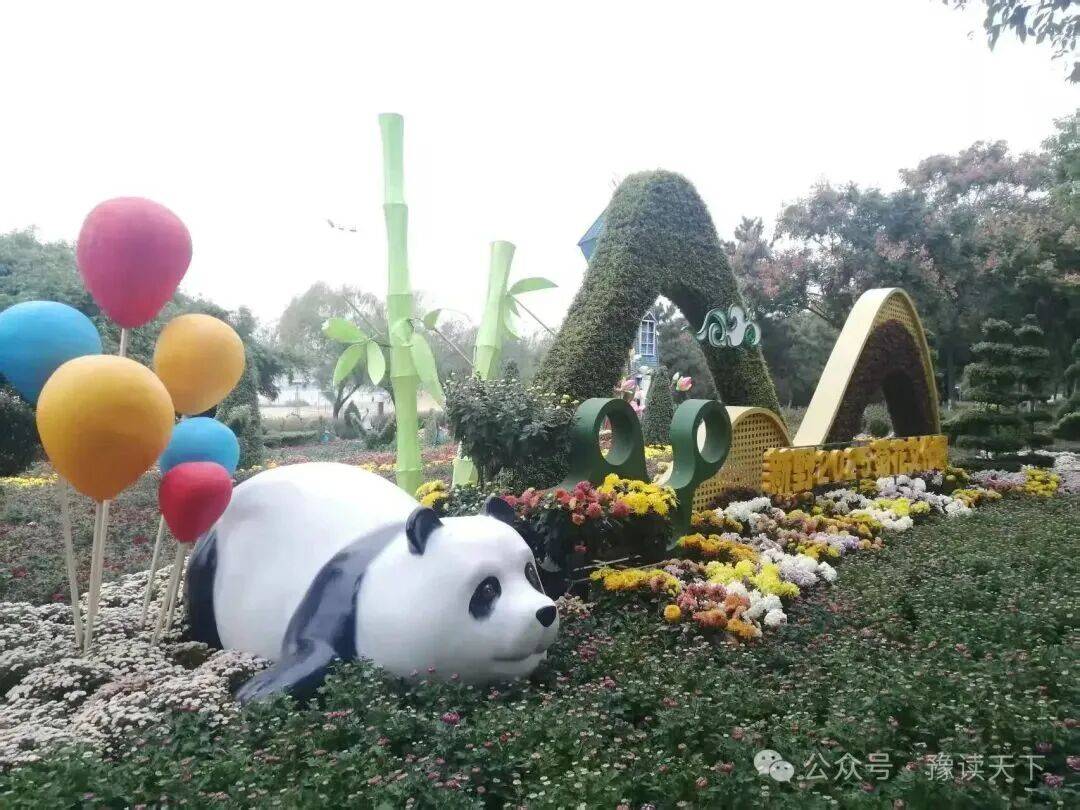 新野:那一抹菊香里的民生温度