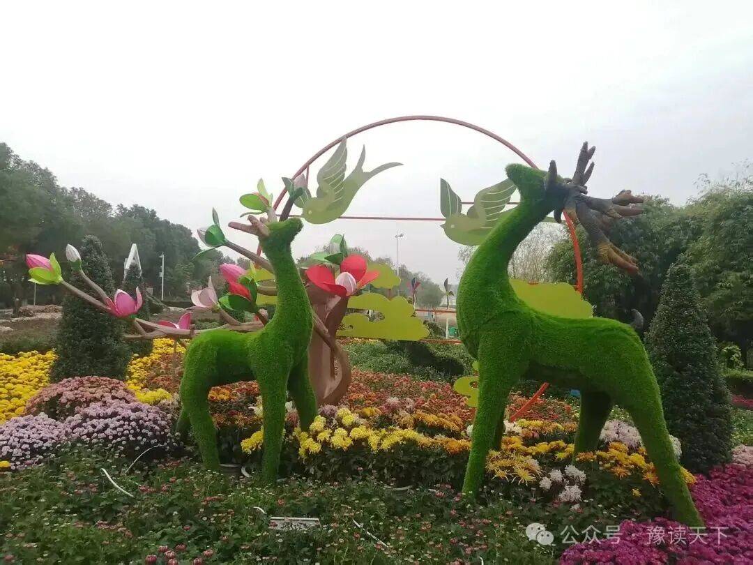 新野:那一抹菊香里的民生温度