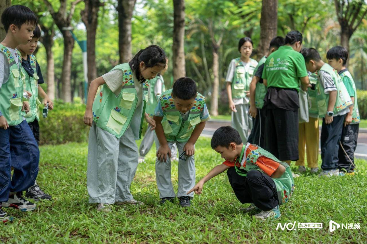 松山湖“民生”答卷:从“民生之盼”到“民生之赞”