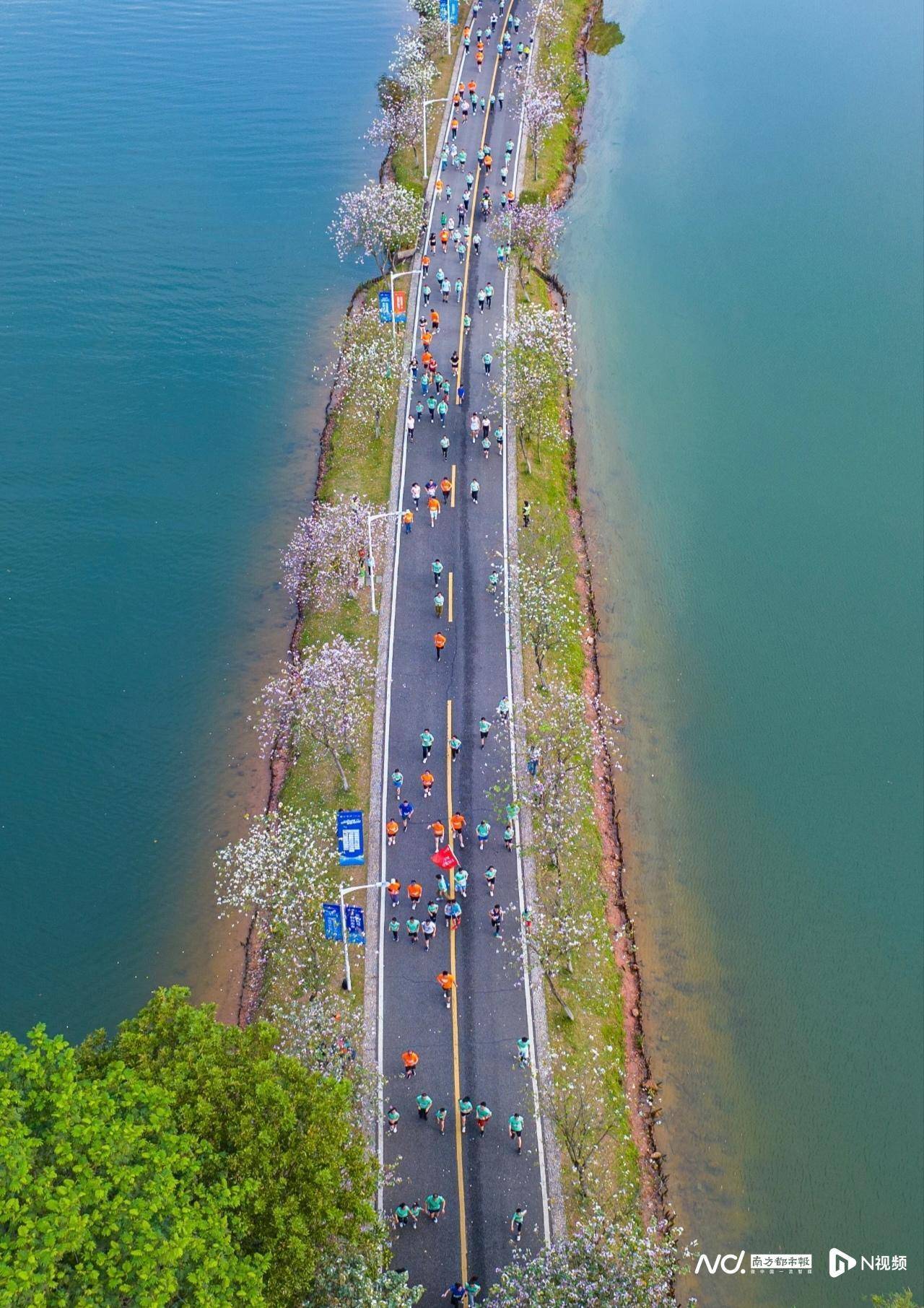 松山湖“民生”答卷:从“民生之盼”到“民生之赞”