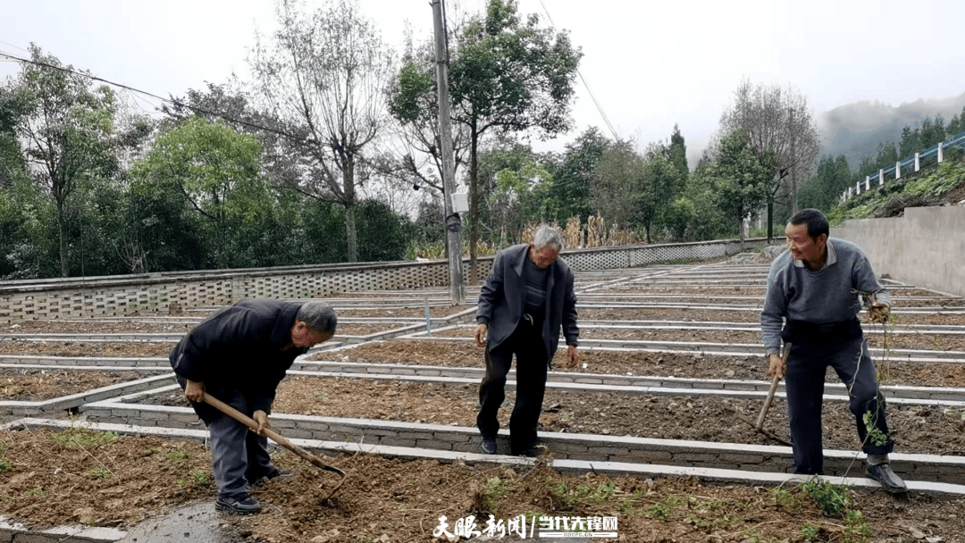 织金:民生“纪手”抓 守护“夕阳红”