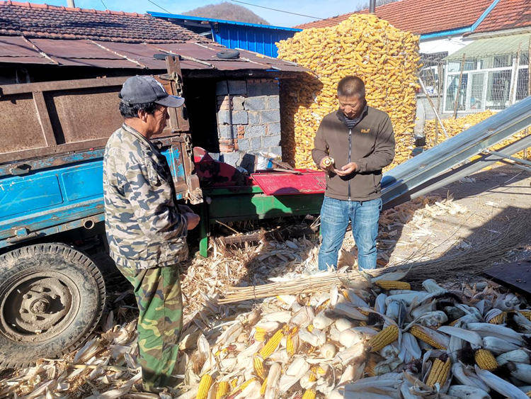 安图县亮兵镇:多维发力护秋收 颗粒归仓保民生