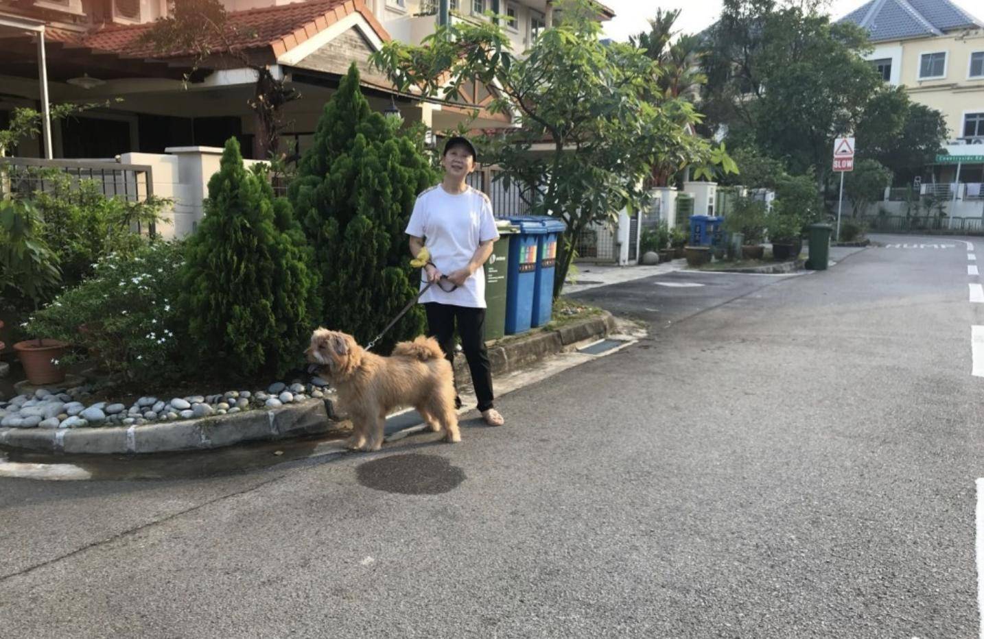 71岁朱咪咪近况曝光,回香港献唱身形消瘦,长居新加坡享儿孙之福