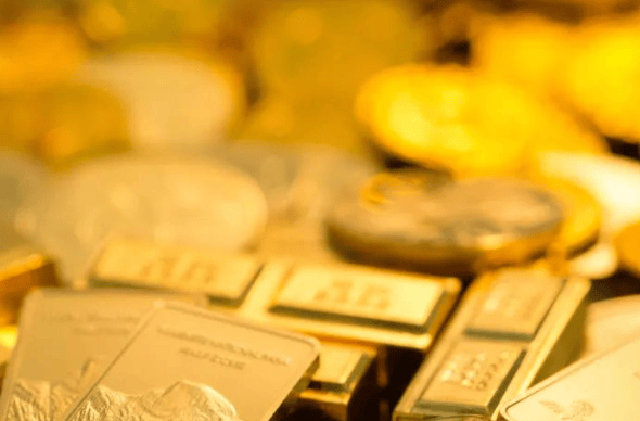 中信证券诸建芳:联合布局多维合力锻造行业标杆