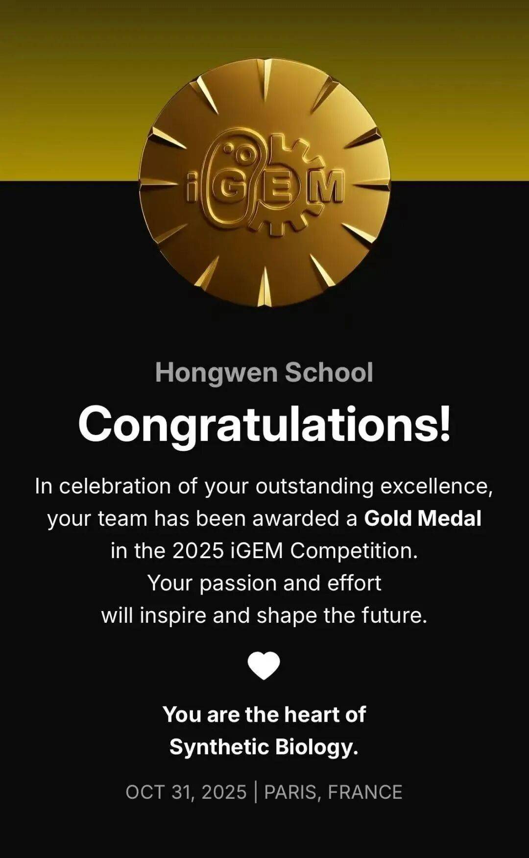 宏文学校青岛校区Diana孙煜阳畅聊“双城科研”趣事