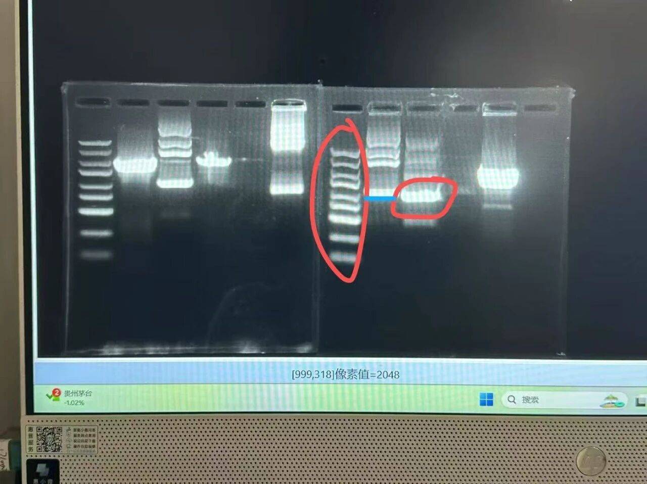 宏文学校青岛校区Diana孙煜阳畅聊“双城科研”趣事