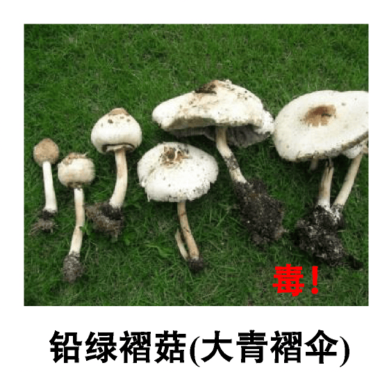 深圳一对夫妻深夜双双入院!一周内12人中招!近期很常见,千万别碰