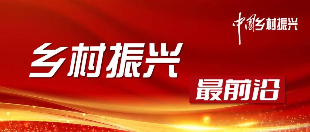 黄承伟：从精准扶贫到常态化精准帮扶的内在逻辑与世界意义