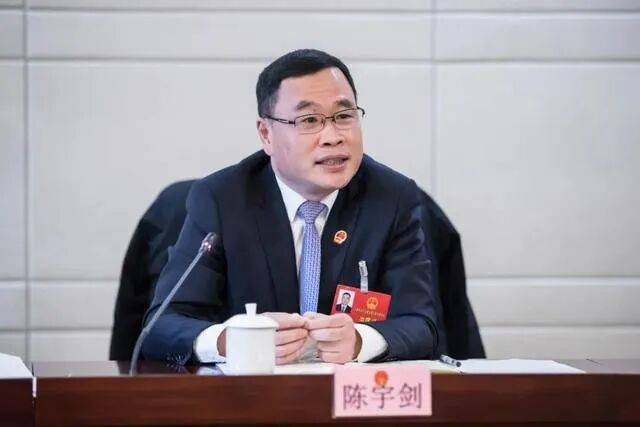 上海市副市长陈宇剑被查(附简历)