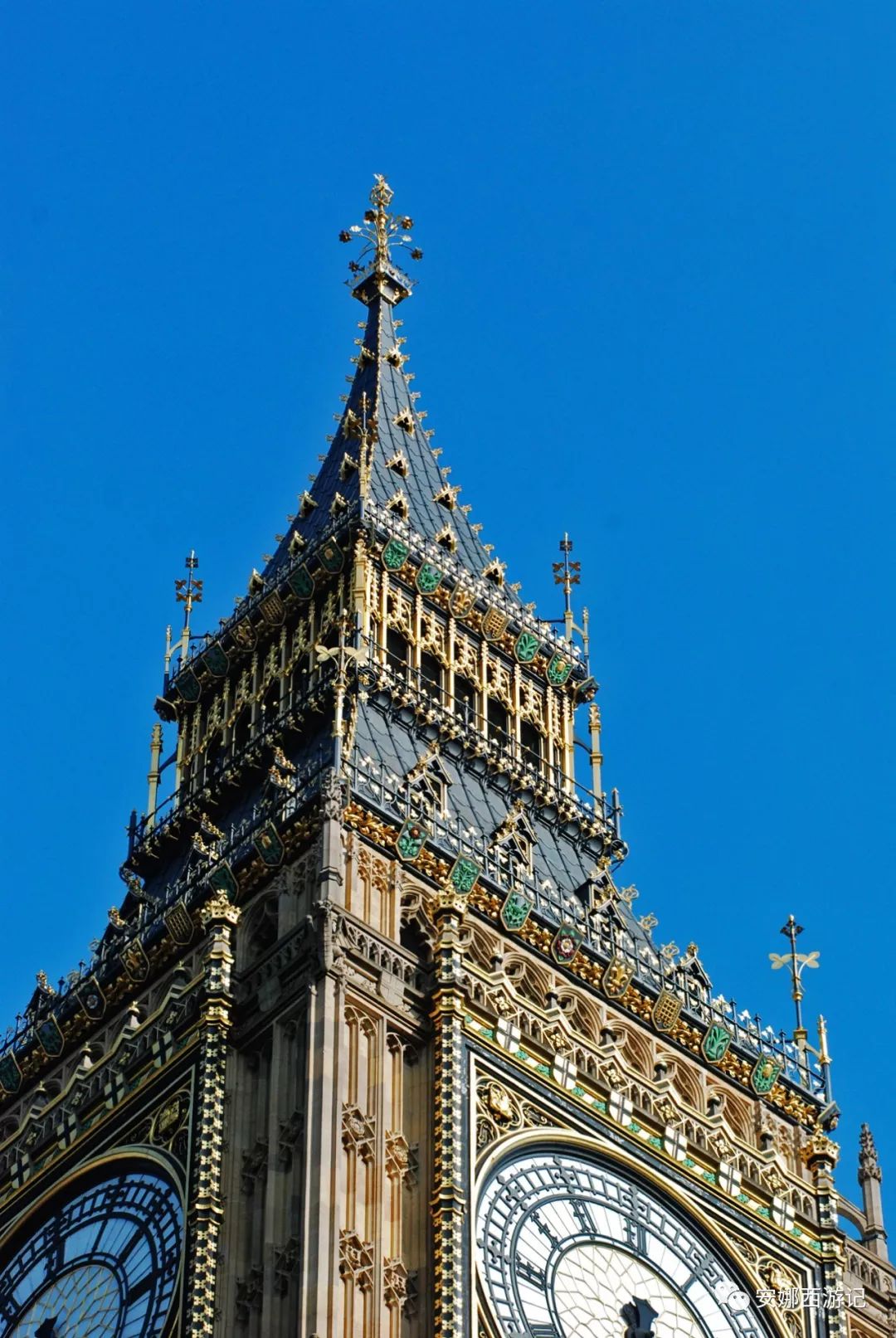 普金证券(普金集团合法吗)